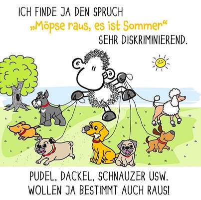 Hunde Memes-Beitrag-Bild