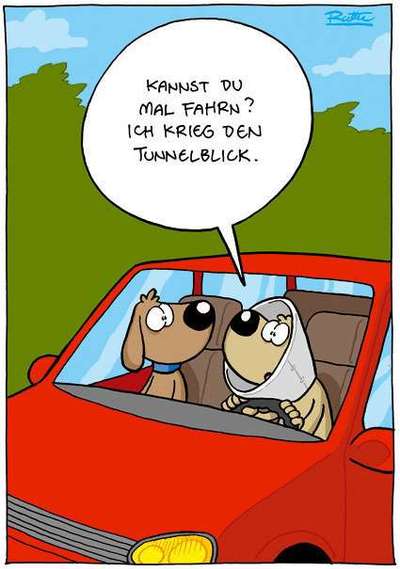 Hunde Memes-Beitrag-Bild