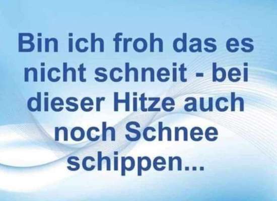 Hunde Memes-Beitrag-Bild