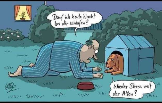 Darf der Hund bei Euch im Bett schlafen?-Beitrag-Bild