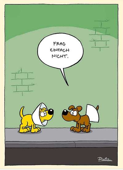 Hunde Memes-Beitrag-Bild