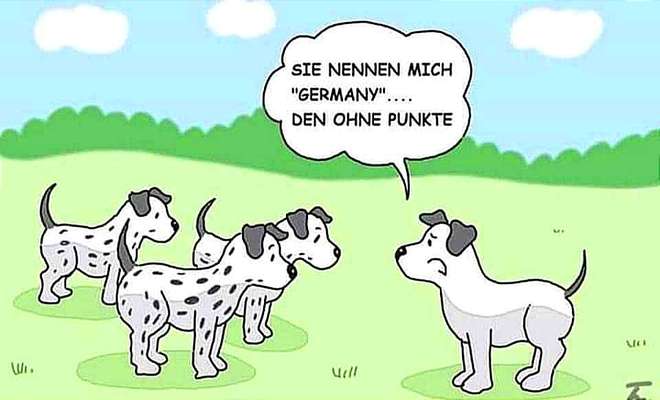 Hunde Memes-Beitrag-Bild