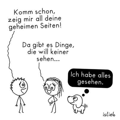 Hunde Memes-Beitrag-Bild