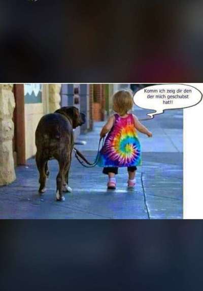 Hunde Memes-Beitrag-Bild