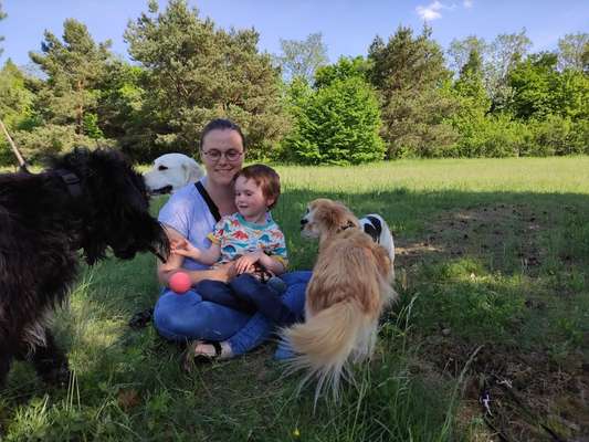 Ungefragtes Streicheln-Beitrag-Bild