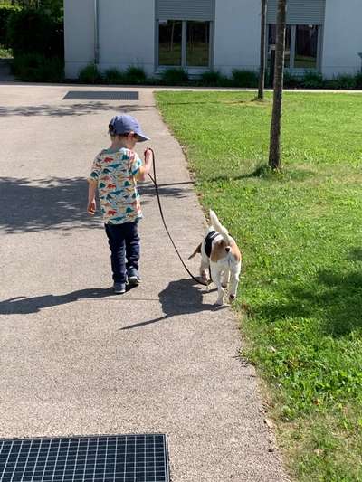 Ungefragtes Streicheln-Beitrag-Bild