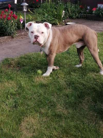 Doppelgänger gesucht !-Beitrag-Bild