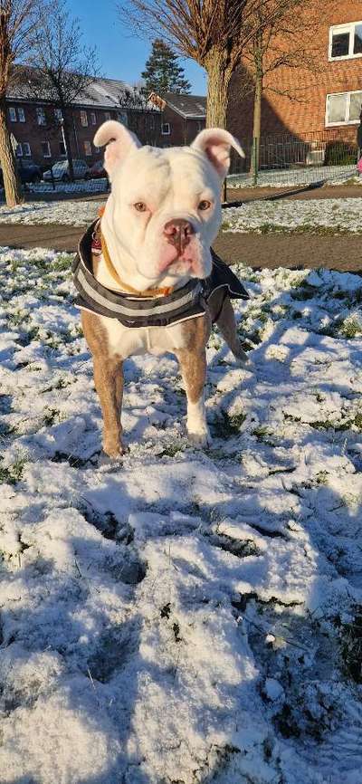 26. Handy Foto Challenge-Beitrag-Bild