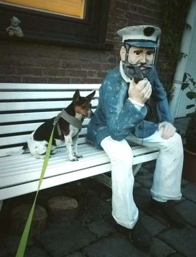 Dogorama Photo Challenge - Bänke-Beitrag-Bild