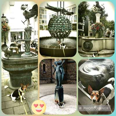 57. Foto Collage Challenge
Brunnen-Beitrag-Bild