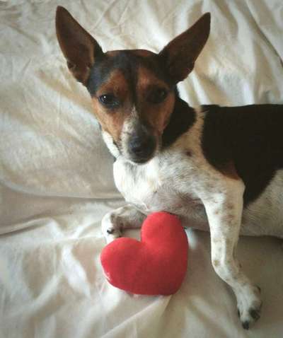 67. Handy Foto Challenge: Rotes Herz-Beitrag-Bild