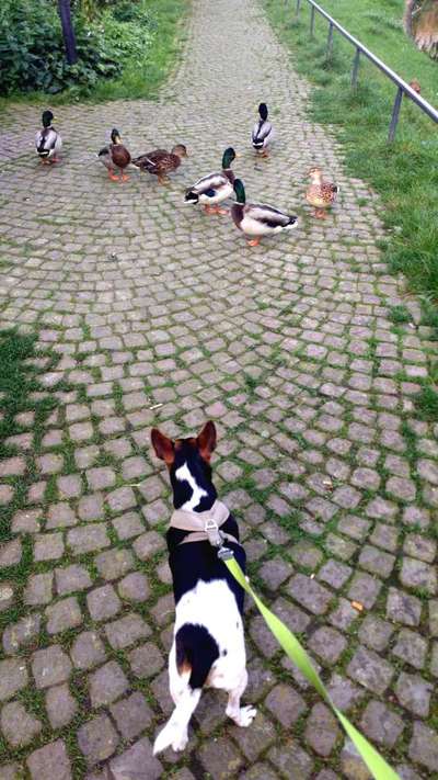 155. FotoChallange * David und Goliath *-Beitrag-Bild