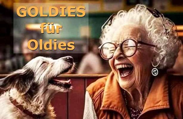 Senioren-Beitrag-Bild