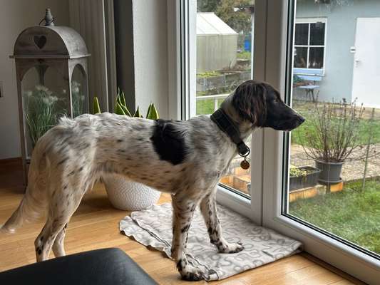 120. Fotochallenge-Beitrag-Bild