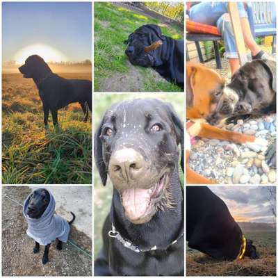 Euer schönster Moment des Jahres auf einem Bild!-Beitrag-Bild