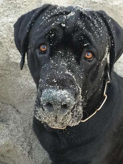 Fotochallange Nr. 57     PORTRÄT.   Beendet!!!!!!!!-Beitrag-Bild