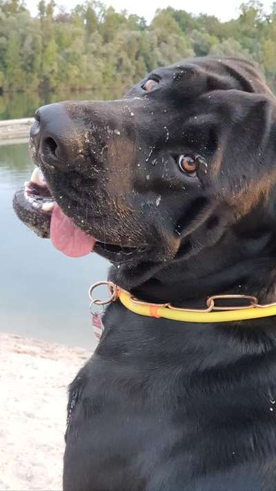 Fotochallange Nr. 57     PORTRÄT.   Beendet!!!!!!!!-Beitrag-Bild