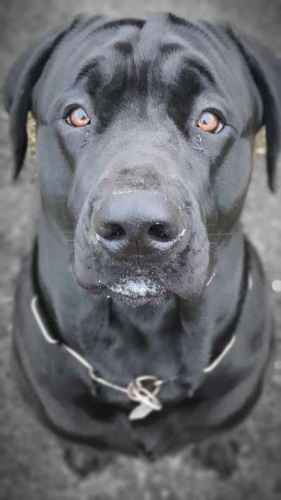 Fotochallenge Nr. 67: Euer Lieblingsbild-Beitrag-Bild