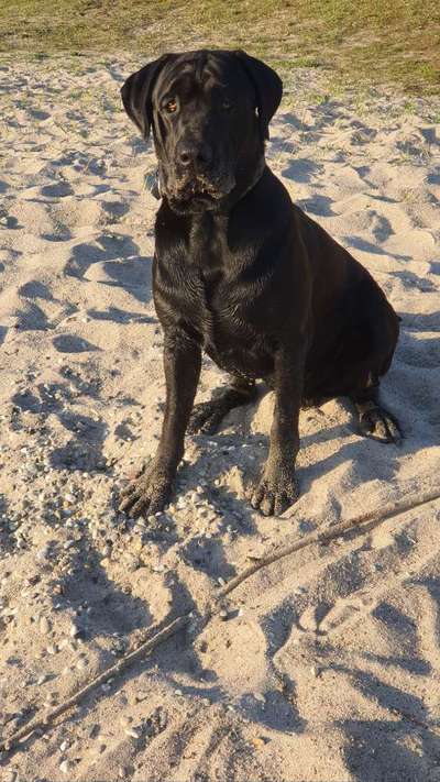 Fotochallenge No. 26                                     Wald und Wiese-Beitrag-Bild