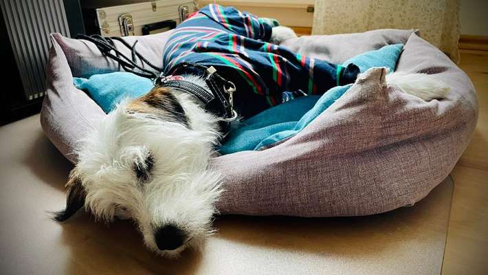 Wunde nach OP kein pflaster hält-Beitrag-Bild