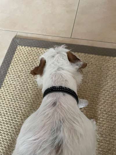 Juckreiz - Wie kann man Kontaktallergien/Umweltallergien ausschließen?-Beitrag-Bild