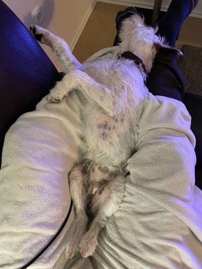 Fotochallenge Nr.65-Beitrag-Bild