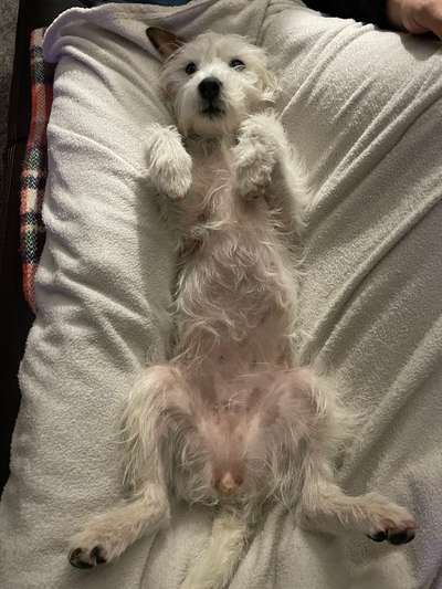 14. Farbenfoto-Challenge "Weiss"-Beitrag-Bild