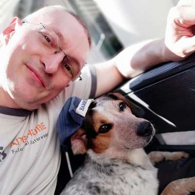 Hundetreffen-Hunde treffen > Hundewiese Seelze-Bild