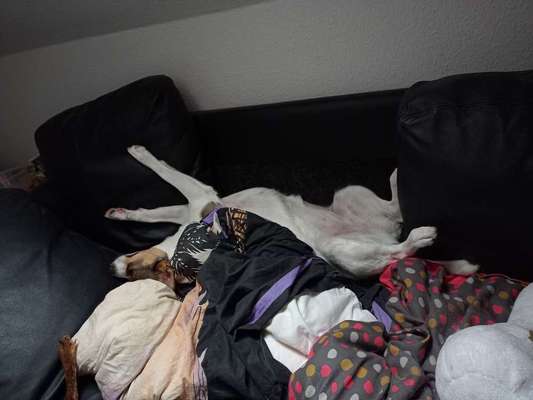 Die unbequemsten und lustigsten Schlafpositionen-Beitrag-Bild