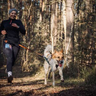 Hundetreffen-Canicross-Bild