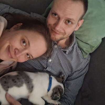 Hundetreffen-Treffen in Harburg Neuwiedenthal..Welpentraining-Profilbild