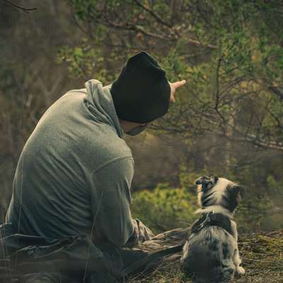 Hundetreffen-Gassi gehen / Sozialisierung-Bild