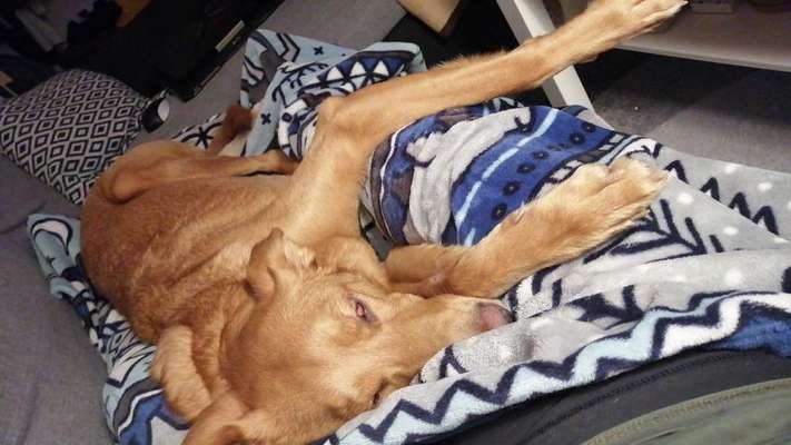 Die unbequemsten und lustigsten Schlafpositionen-Beitrag-Bild