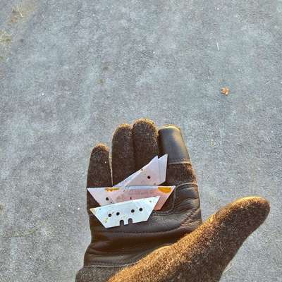 Giftköder-Rasiermesserklingen-Bild