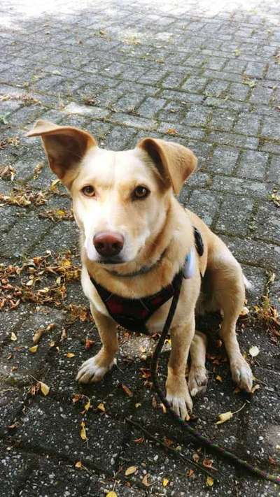 Doppelgänger gesucht !-Beitrag-Bild