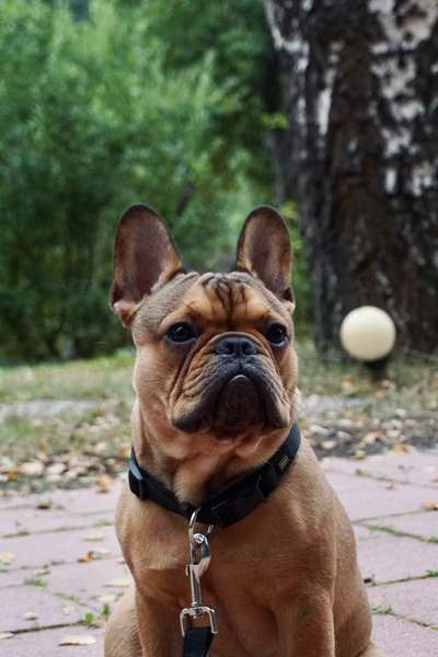 Fotochallange Nr. 57     PORTRÄT.   Beendet!!!!!!!!-Beitrag-Bild