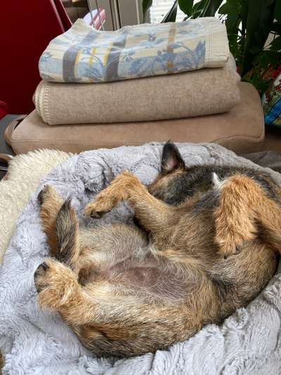 Die unbequemsten und lustigsten Schlafpositionen-Beitrag-Bild