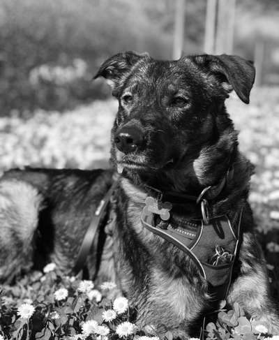 Foto-Challenge 76: Foto in Schwarz-Weiss-Beitrag-Bild