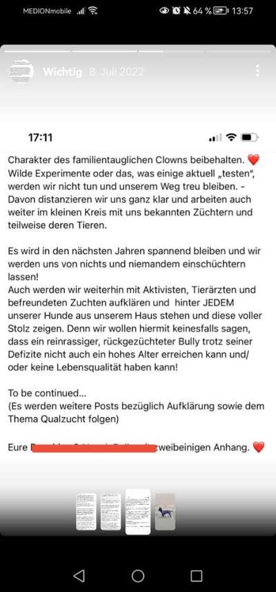 Neue Trendrasse - Bullydor und co.-Beitrag-Bild