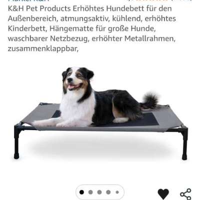 Hund und Fußbodenheizung-Beitrag-Bild