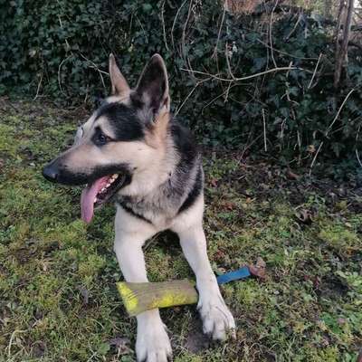 Was hat euch heute gefreut?-Beitrag-Bild