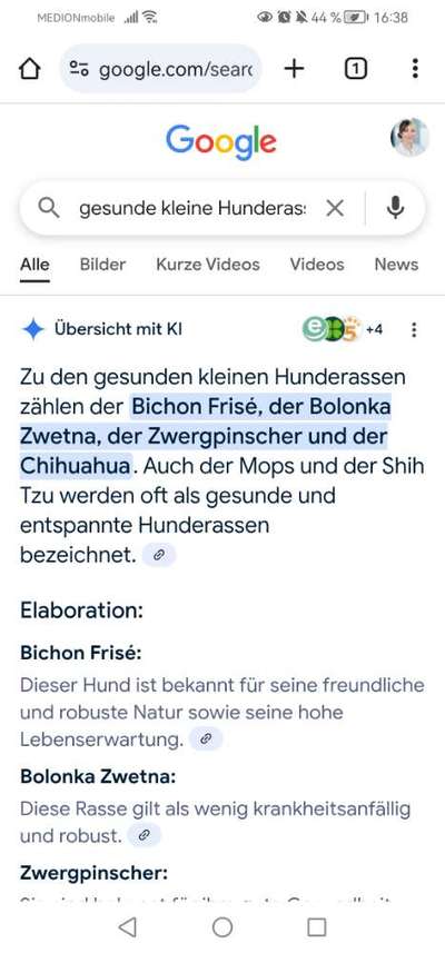 Qualzucht - Warum Aufklärung alleine nicht reicht-Beitrag-Bild