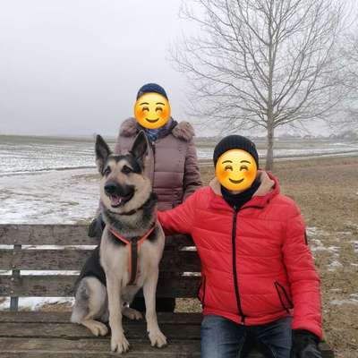 Was hat euch heute gefreut?-Beitrag-Bild