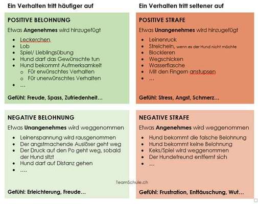 Definitionen im Bereich Hundeerziehung-Beitrag-Bild