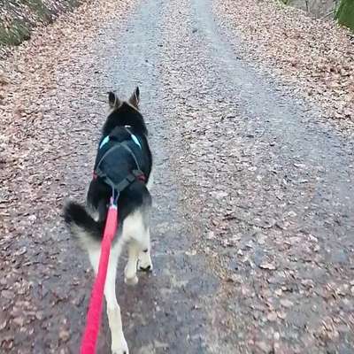 Was hat euch heute gefreut?-Beitrag-Bild