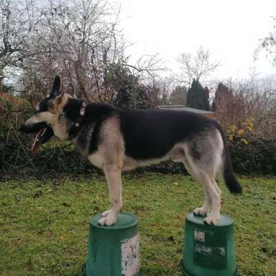 Was hat euch heute gefreut?-Beitrag-Bild