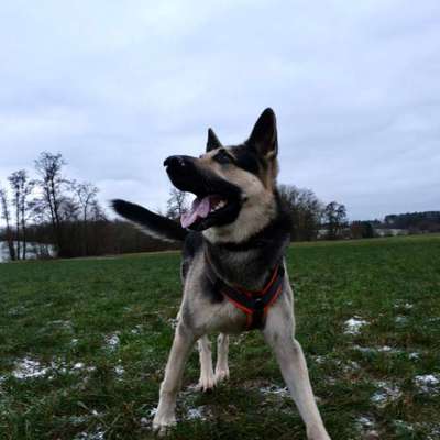 Wie habt ihr den Silvesterabend verbracht?-Beitrag-Bild