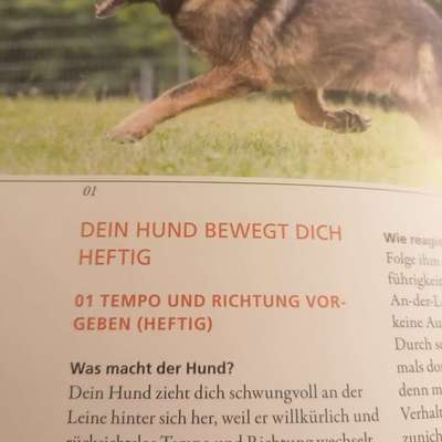 "Gewöhnungseffekt" im Training?-Beitrag-Bild
