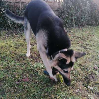 Was hat euch heute gefreut?-Beitrag-Bild