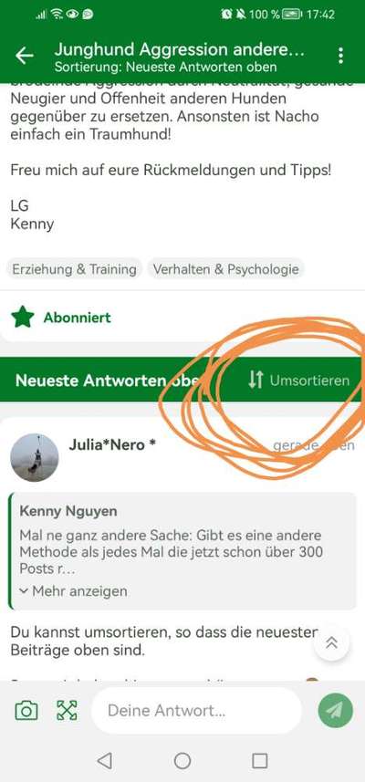 Junghund Aggression andere Hunde-Beitrag-Bild